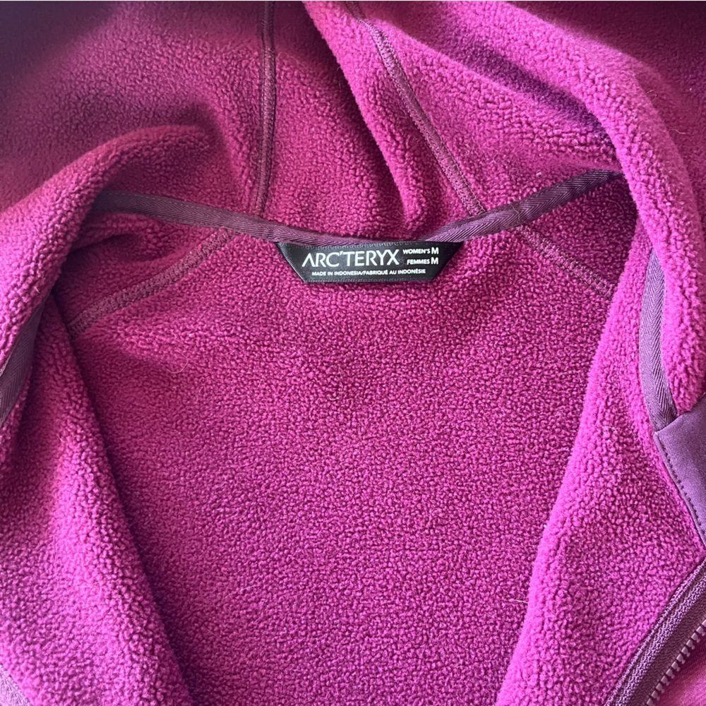 Arc'teryx Arenite Hooded Fleece Softshell Jacket - Picture 8 of 15